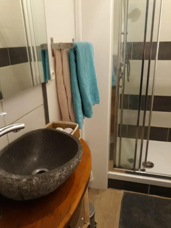 Le Langevin - Appartement Troyes Centre Buitenkant foto